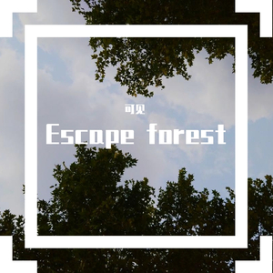 Escape forest(limit high）