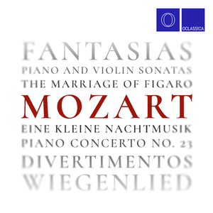 Divertimento in F Major, K.138/125c: I. Allegro