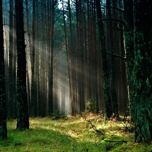 Seizing time when no one has been before