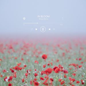 In Bloom