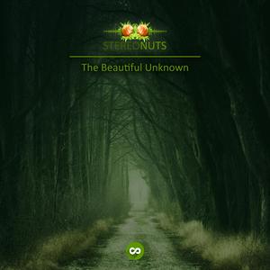 The Beautiful Unknown