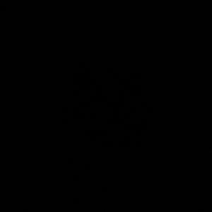 2025 (feat. Astro C)