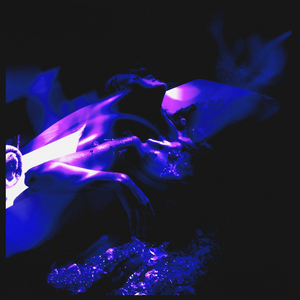 В моих венах