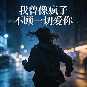 我曾像疯子不顾一切爱你dj版
