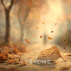 사는게 이런거라면