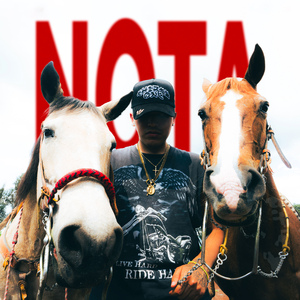 Nota