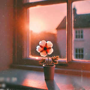 Late Night Guitar Serenade