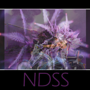 Ndss