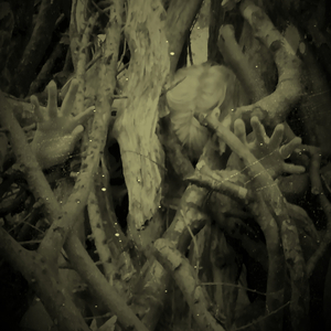 DREAM (feat. Andy Bee & Ruth Nielsen)