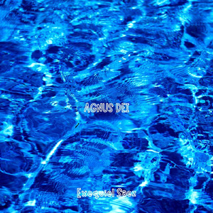 AGNUS DEI (Live)