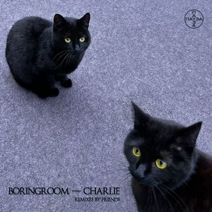 Charlie (HeadSick Remix)