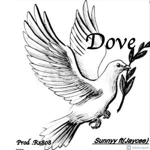 Dove