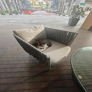 你说你爱我却一直说