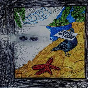 Голубь на Гавайях