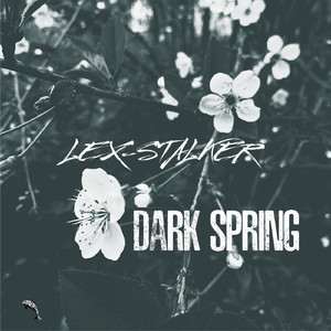 Dark Spring (Original Mix)