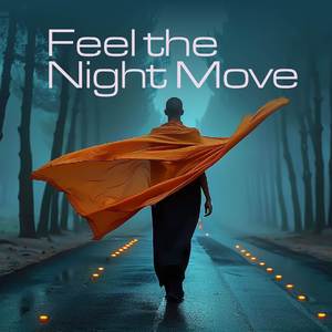 Feel The Night Move