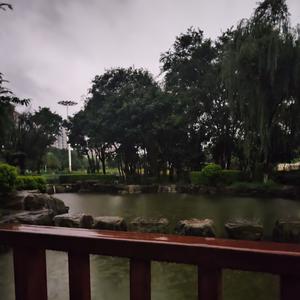 收集雨点