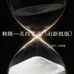 转眼一晃白了头 (DJ版)