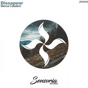 Dissapear (A. Rassevich Remix)