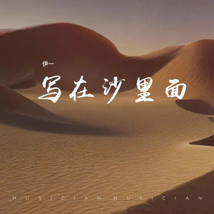 写在沙里面