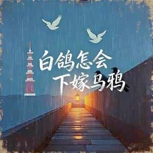 白鸽怎会下嫁乌鸦