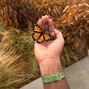 [FREE] “蝴蝶落在手心” indie x boombap type beat