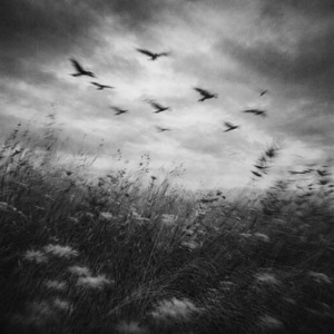 К своей груди