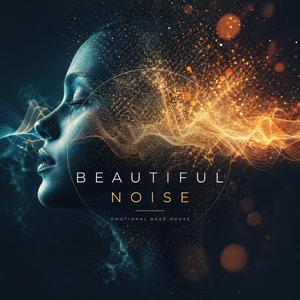 Beautiful Noise