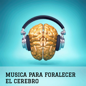 Aumento del Conocimiento