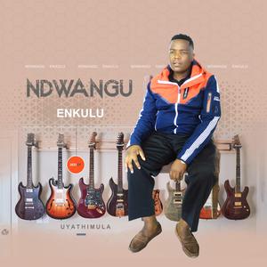 Ndwangu Endala