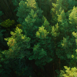 你是黑暗里的璀璨星光