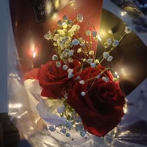 哪里都是你(哪里都是你)