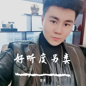 好听度另类_贺荣