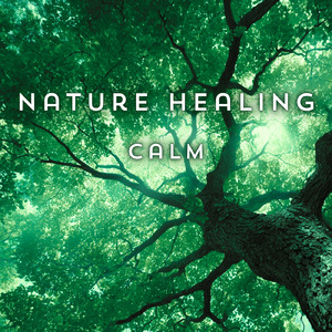 熟睡ギターBGM 睡眠の質を高めるヒーリング音楽 (自律神経を整える睡眠用 森 鳥)