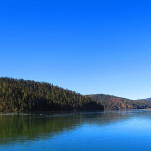 飘洋过海来看你