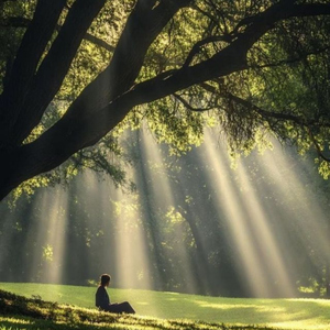 Relaxing Sound