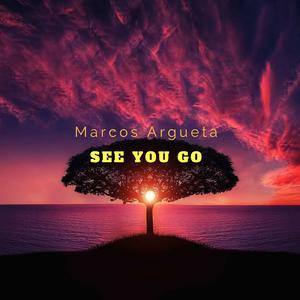 See You Go