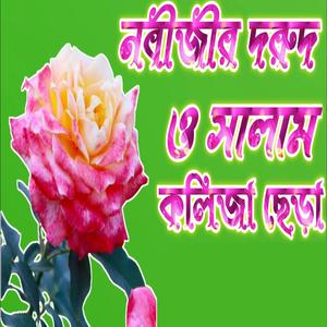 আসামের সেরা মীলাদ কিয়াম শুনলে আপনার রূদয় ঠান্ডা হবে ইনশাআল্লাহ