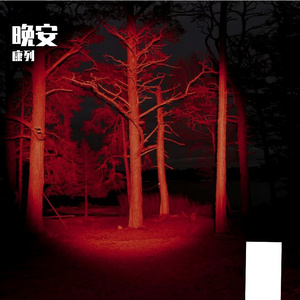 如今晚安是告别