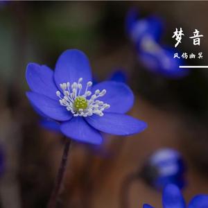 为了谁(男唱女声版)