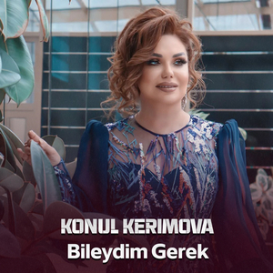 Biləydim Gərək
