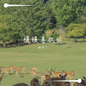 慢慢喜欢你