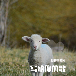 写给你的歌