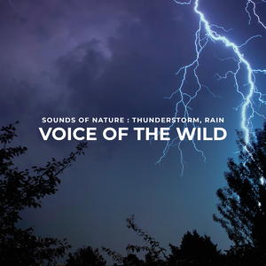 Another Day of Showers