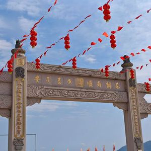向光的人