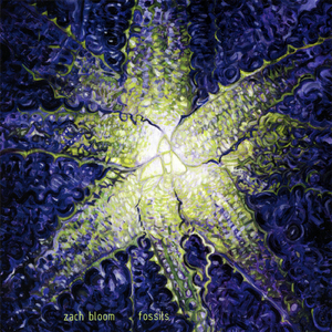 Vespertilio (Wing Study 2)