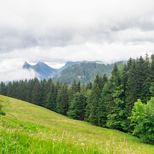 安静疗愈之冥想