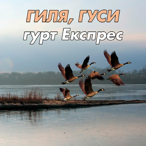 Гиля, гуси