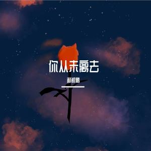 你从未离去