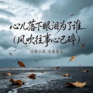 心儿落下眼泪为了谁（风吹过往事心已碎）